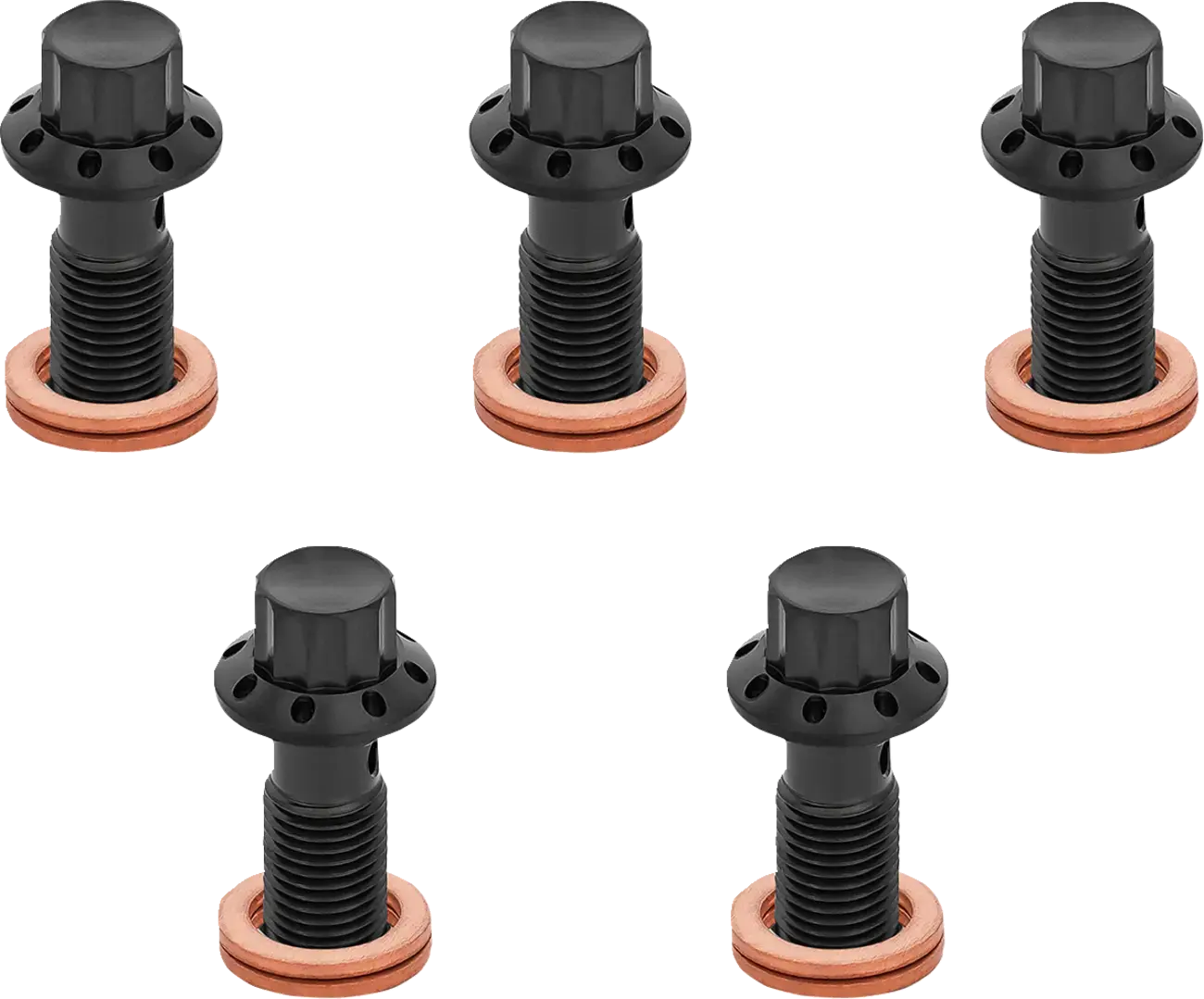 Vijci za Banjo M10x1.25 Crni 5-Pack Arlen Ness za FLST MC Softail