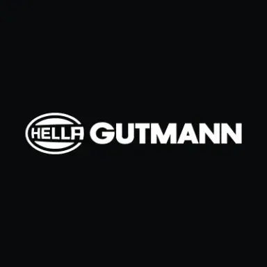 Hella-Gutmann