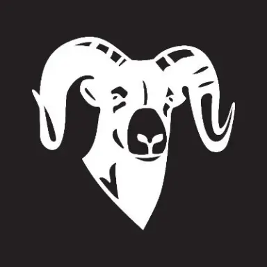 RAM MOUNTS
