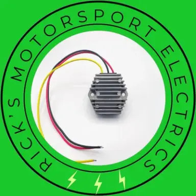 RICK'S MOTORSPORT ELECTRIC